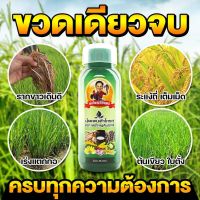 แพนต้าโกรว์ พ่อใหญ่สัมฤทธิ์ ปุ๋ยน้ำ ปุ๋ยทางใบ 500 ml สูตรเข้มข้น บำรุงพืชผัก ผล ดอก พืชทุกชนิด สินค้าใหม่ ของแท้100%