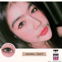 Aroma gray รุ่นใหม่ตาแบ๊วขนาดกลาง