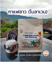 กาแฟทองหนึ่ง - เมล็ดกาแฟคั่ว ลาว โบลาเวน (LAOS BOLAVEN)