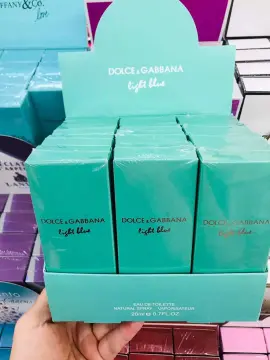 Fake dolce and gabbana cheap light blue