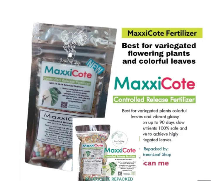 MAXXICOTE FERTILIZER FOR VARIEGATED PLANTS Lazada PH