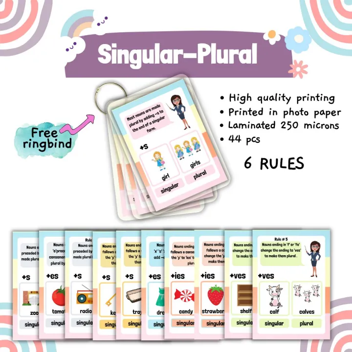 Singular Plural English Education Educational Laminated Flashcards 44 ...