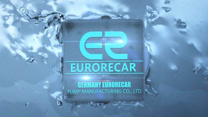 EURORECAR 220V 60Hz Deep Well Submersible Pump Household Stainless ...