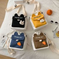 Ins mobile phone bag