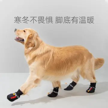 Dog shoes shop for beagles