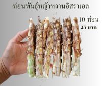 ท่อนพันธุ์สำหรับปลูก10ท่อนหญ้าหวานอิสราเอล500กรัมมี