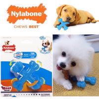 Nylabone Gentle Chew ของเล่นขัดฟัน