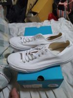 converse Jack Purcell Cotton Ox White 10us 44eur 28cm