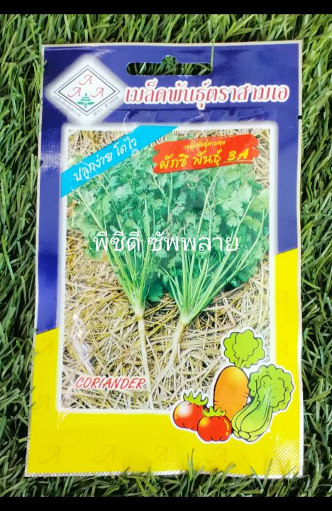 3a-ผักชี-coriander-เมล็ดพันธุ์