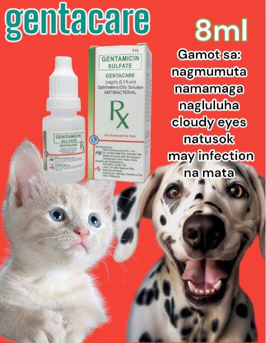 Gentamicin sulfate eye drops for dos and cats 8ml Lazada PH