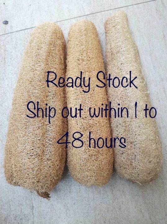 Natural Loofah Sabut Petola Semula Jadi 30cm Natural unprocessed
