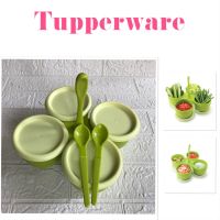 Tupperware ชุดเครื่องปรุงอเนกประสงค์