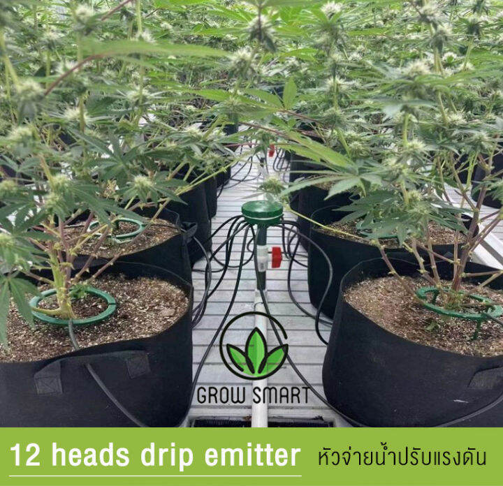 Grow Smart 12 outlet drip emitters multi flow หัวกระจายน้ำปรับแรงดัน 12