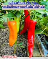 เมล็ดพันธ์พืช พริกแดงจีน เมล็ด Cherry Pepper