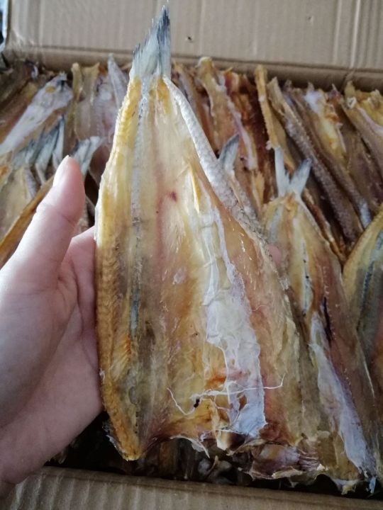 การันตีความอร่อย-ปลาช่อนทะเลแห้ง-ปลาจิโก๋-ของดี-ราคาถูก-คุณภาพจัดเต็ม-สุดคุ้ม