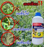 ค้างคาวทองสูตรป้องกันและกำจัดแมลง