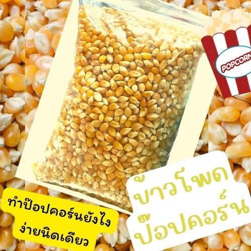 เมล็ดข้าวโพด-ข้าวโพดป๊อปคอร์น-popcorn-ขนาด1-000กรัม-อเมริกา-เมล็ดข้าวโพดpopcorn-เมล็ดป๊อบคอร์น-ป๊อบคอร์น