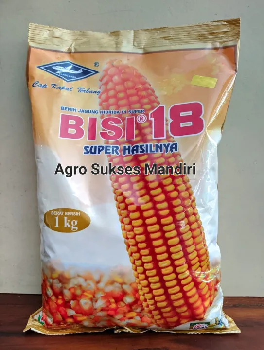 Benih Jagung Bisi 18 Original Benih Jagung Hibrida Bisi 18 1kg Bibit