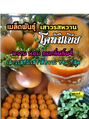 เมล็ดพันธุ์เสาวรสโคลัมเบีย(20เมล็ด)