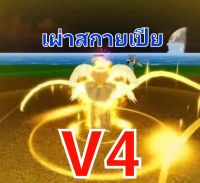 ไก่ตันเผ่าV4 เผ่าสกายเปืยv4 ผลเสือสกิลพร้อมใช้ roblox Blox Fruitd