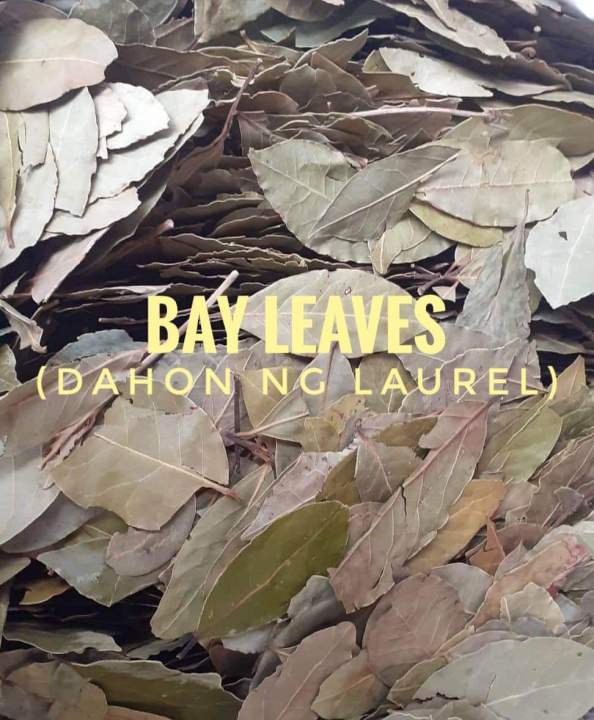 Dahon Ng Laurel Bay Leaves 12 Kilo Lazada Ph 8454