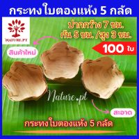 กระทงใบตองแห้ง 5 กลัด ขนาดกว้าง 7 ซม จำนวน 100 ใบ กระทง5กลัด กระทงขนมเข่ง กระทงใบตอง กระทง กระทงถ้วย ถ้วยใบตอง ถ้วยใบตองแห้ง กะทงใบตอง กะทงใบตองแห้ง Banana Leaf Cup