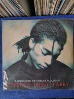 LPBOX 20 :TERENCE TRENT D ARBY: แผ่นต้นฉบับเดิม แผ่นเสียง vinyl Lp 33rpm 12"สภาพกำลังฟังได้ดีได้รับการตรวจสอบ