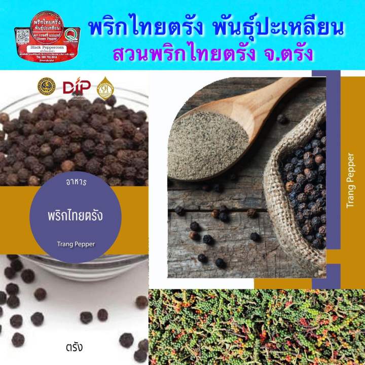 พริกไทยดำชนิดเม็ด-พันธุ์ปะเหลียน-สวนพริกไทยตรัง-สวนกิตติ-ซองบรรจุ-100-กรัม