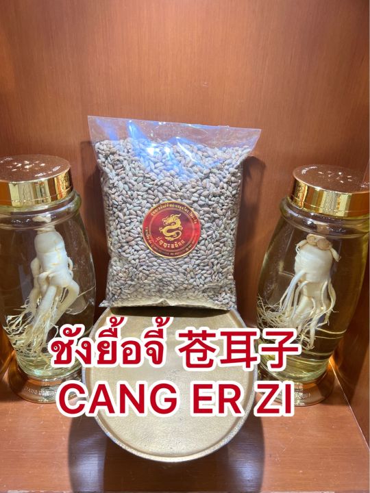 ชังยื้อจี้-cang-er-zi-ซัวยื้อจี้-ชังเอ่อร์จื่อ-ชังยือจี้-ซัวยือจี้บรรจุ500กรัมราคา150บาท