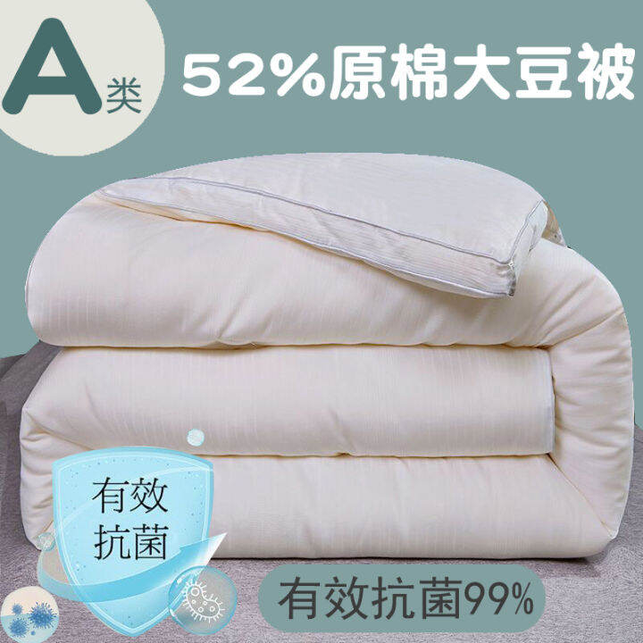 Export Thickened Soybean Fiber Winter Quilt Winter Warm 5.45kg Holes