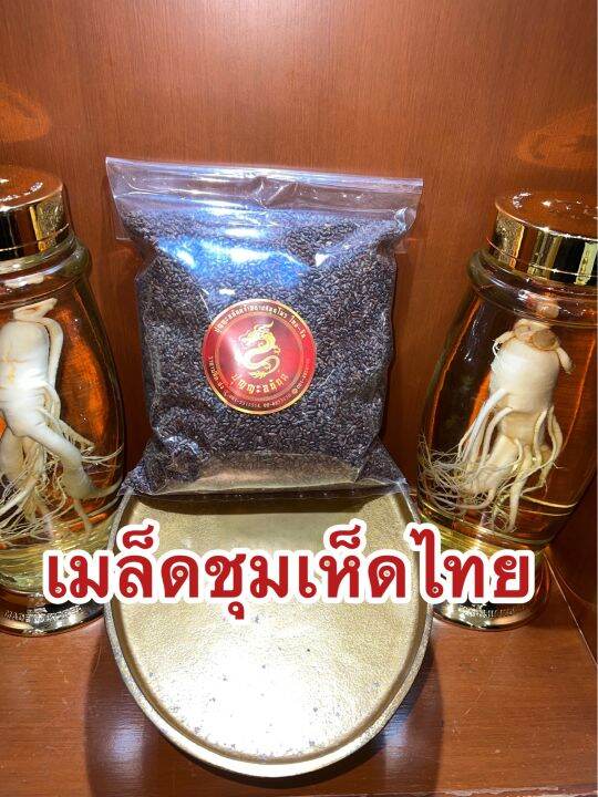 เมล็ดชุมเห็ดไทย-เม็ดชุมเห็ด-สมุนไพรเมล็ดชุมเห็ด-บรรจุ500กรัมราคา100บาท