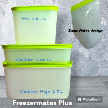 Tupperware 1L Freezermate Storage container 2 Piece GREEN Plastic Utility  Container (Pack of 2, Green)