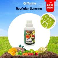 Giffarine Great Wall ปุ๋ย เกรท วอลล์ กิฟฟารีน ขนาด 500 cc ซิลิกอน(S) พืชทนร้อน แห้งแล้ง หนาว โรคพืช แมลง เชื้อราเพิ่มผลผลิต