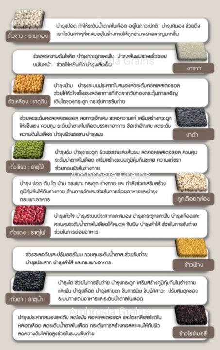 เครื่องดื่มธัญพืชเพื่อสุขภาพ-ธัญพืช-ผง-ธัญญาหาร-10-ชนิด-ธัญพืชเพื่อสุขภาพ-ตรา-แ-อม-โบ-เซีย-ambrosia-grains-บรรจุ-300-กรัม