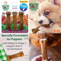 Nylabone Healthy Edibles ของเล่นขัดฟัน ขนมขัดฟัน