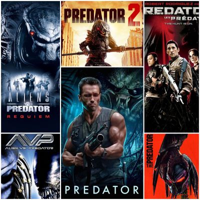 [DVD HD] พรีเดเตอร์และเอเลี่ยนปะทะพรีเดเตอร์  ครบ 6 ภาค-6 แผ่น Predator 6-Movie Collection #แพ็คสุดคุ้ม #หนังฝรั่ง (ดูพากย์ไทยได้-ซับไทยได้)