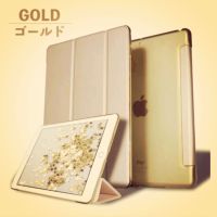 CASE IPAD 10.2 2019 Y STYE GOLD (2467)