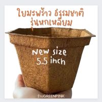 ยกลัง200ชิ้น กระถางใยมะพร้าว 5.5นิ้ว หกเหลี่ยม coir pors cocopots coconut fiber pots กระถางต้นไม้ กระถางใยมะพร้าว ใยมะพร้าว รักษ์​โลก