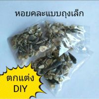 เปลือกหอยคละแบบถุงเล็ก สำหรับตกแต่ง DIY ตกแต่งเทียนเจล (1ถุง)