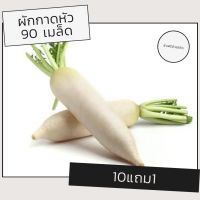 เมล็ดผักกาดหัว ไชเท้า เมล็ดพันธุ์ผัก เมล็ดผัก 10แถม1 คละได้