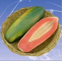 เมล็ด มะละกอ พันธุ์แขกดำ เอ1 (Papaya Seed)บรรจุ 15 เมล็ด ให้ผลผลิตดี