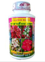 CALADIUM BLOOM คาลาเดียมบลูม สำหรับ"บอนสี" โดยเฉพาะ (ปลอดสารเคมี 100%) ปริมาณ 250 cc.