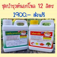 ยกโหล 12 ลิตร#ชุดบำรุงต้น #ตราอ่าวไทย #น้ำหมักปลาทะเลได้ 6 ชุดราคาส่งแถมฟรีเสื้อ 1 ตัว