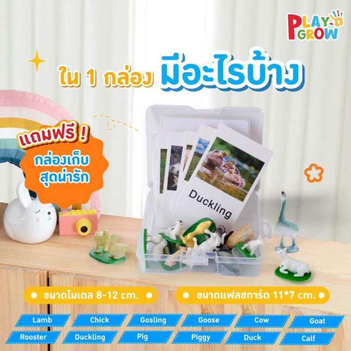 พร้อมส่ง-การ์ดคำศัพท์-โมเดลสัตว์-หมวดสัตว์ทั่วไป-1-ของเล่นเด็ก