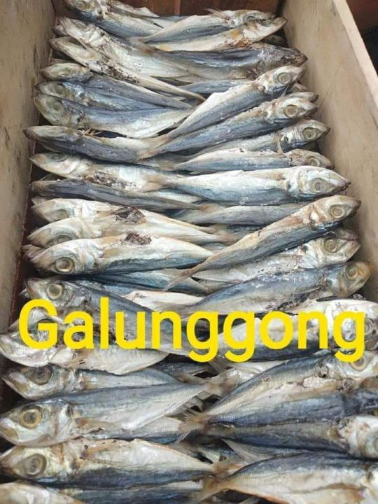 PINOY FOOD GALUNGGONG DRIED FISH 1/2 KILO (500G) | Lazada PH