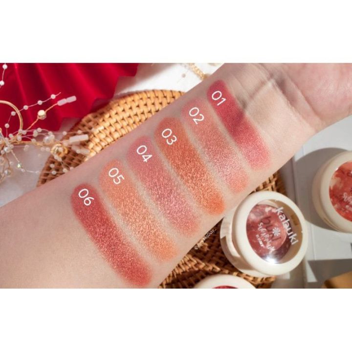 มาแล้วจร้า-สินค้าใหม่-kabuki-sugarplum-blusher-kb1-0003