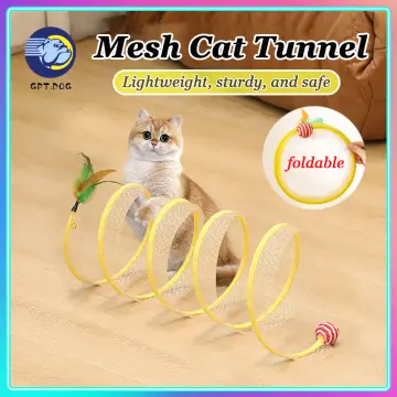 Outdoor on sale cat toys