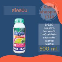 สโคลบิน 500 ml. อะซอกซีสโตรบิน ป้องกันและกำจัดโรคแอนแทรคโนส เชื้อรา กาบใบแห้ง ใบจุด ราน้ำค้าง