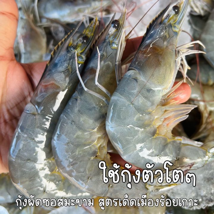 กุ้งผัดซอสมะขาม-สูตรเด็ดเมืองร้อยเกาะ