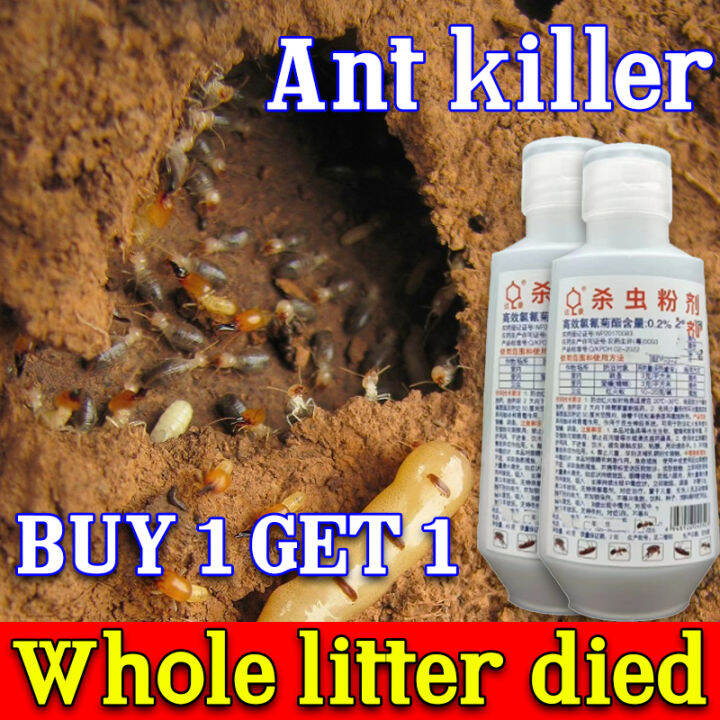 【Buy 1 get 1】BIUU Termites killer powder Ant killing bait powder Ants